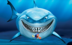 Nemo-Dory-A-Shark-Photos